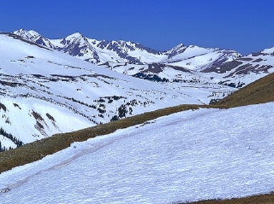 thumbnail of your picture 1