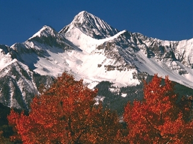 thumbnail of your picture 2