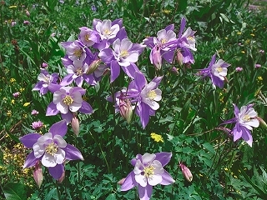 thumbnail of your picture 3