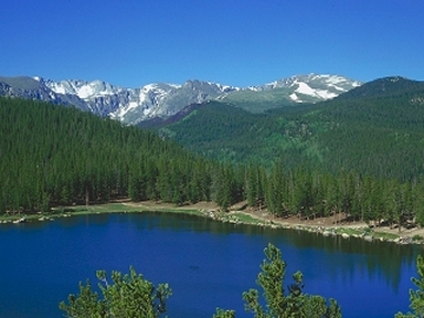 thumbnail of your picture 7