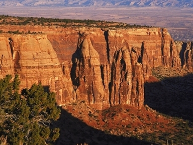 thumbnail of your picture 8